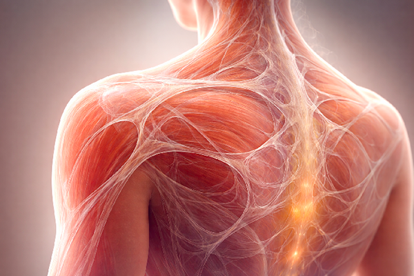 FASCIATHERAPIE - Paris 13